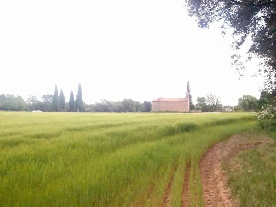 Апартаменты El Niuet De Cal Cacuet, La Teva Escapada Rural. Avia Экстерьер фото