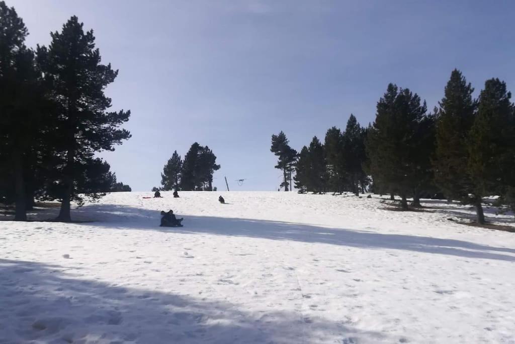 Апартаменты El Niuet De Cal Cacuet, La Teva Escapada Rural. Avia Экстерьер фото